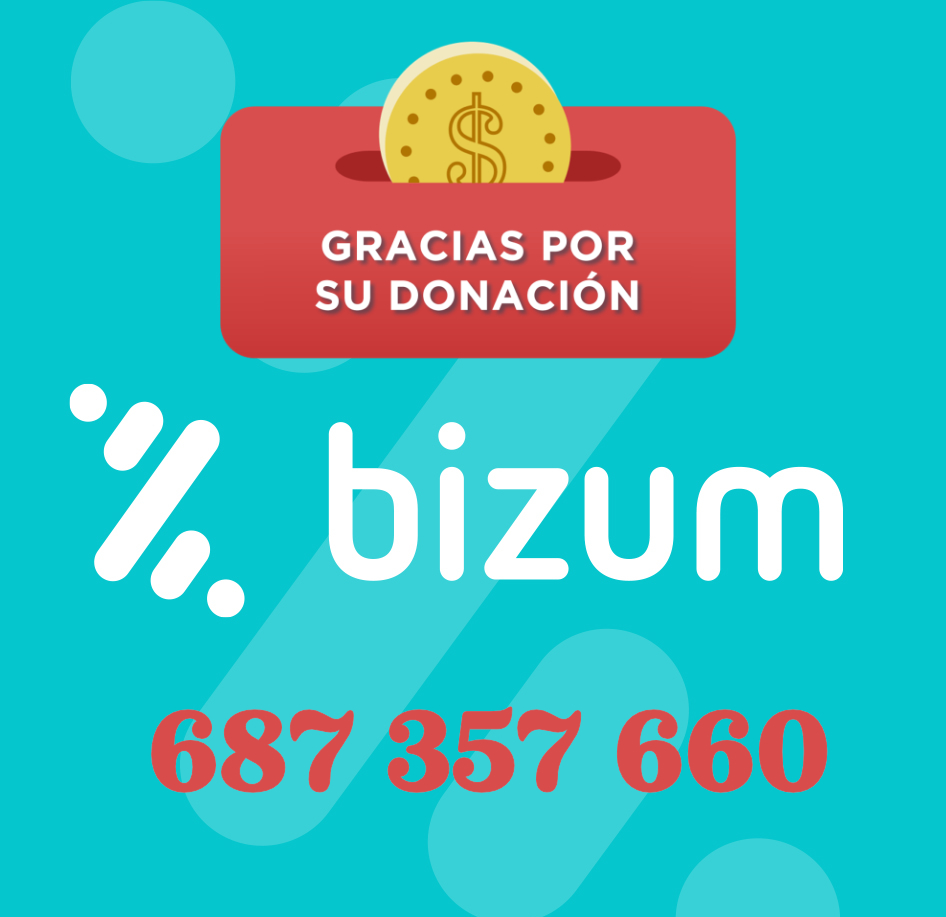 Bizum QR Code para donaciones